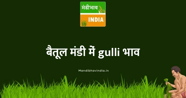 gulli भाव