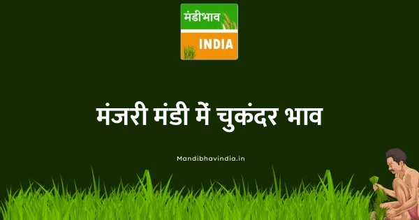 Beetroot भाव