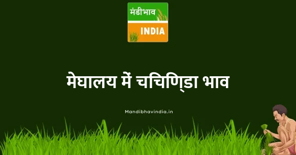 चिचिण्डा भाव