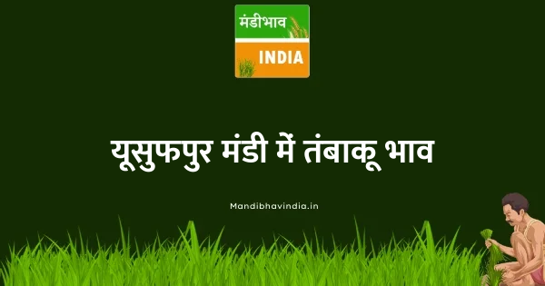Tobacco भाव