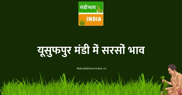 Mustard भाव