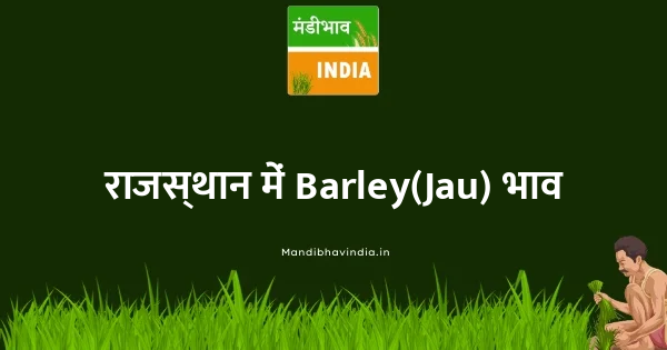 Barley(Jau) भाव