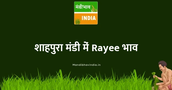 Rayee भाव