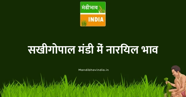 coconut भाव