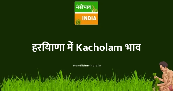 Kacholam भाव