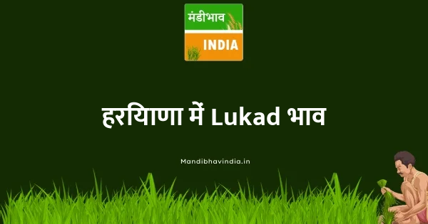 Lukad भाव