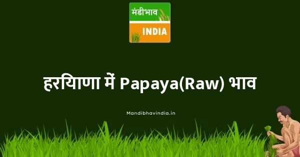 Papaya(Raw) भाव