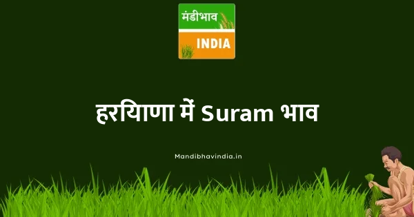 Suram भाव