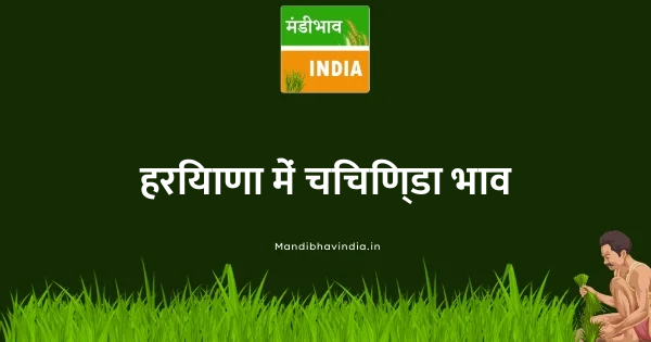 चिचिण्डा भाव