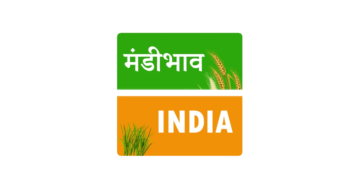 Turmeric Mandi Rate Today [ 17 October 2026 ]